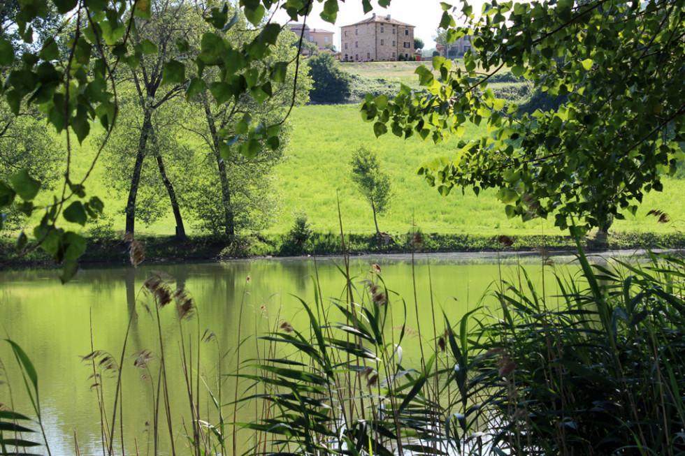 Appartamenti Cenni - Relais Su Lago Varsi Luaran gambar