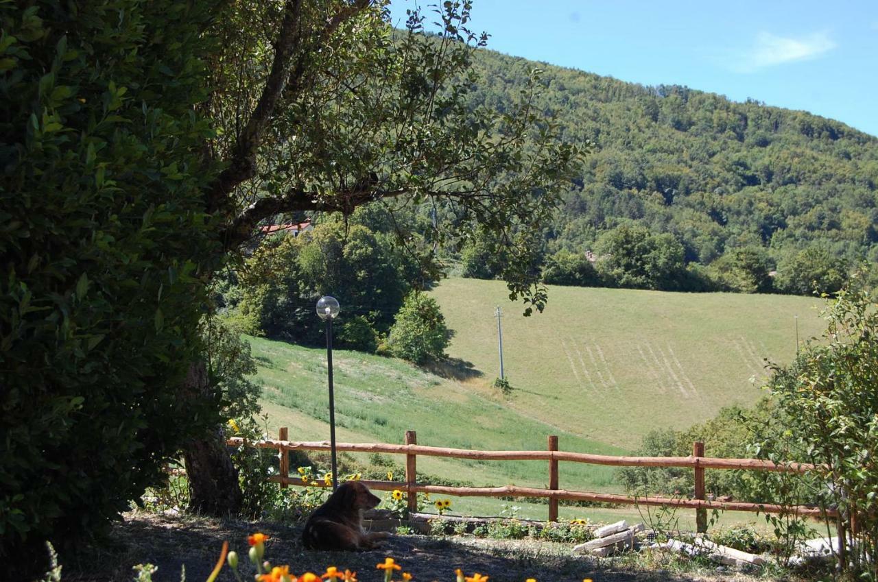 Appartamenti Cenni - Relais Su Lago Varsi Luaran gambar